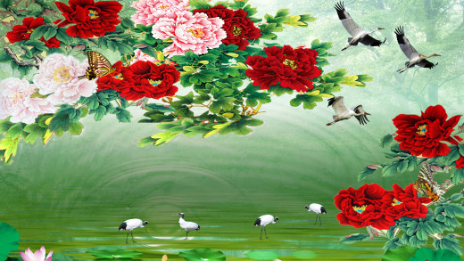 1049757 (a): :1920x1080